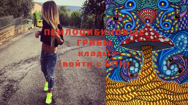 стаф Липки