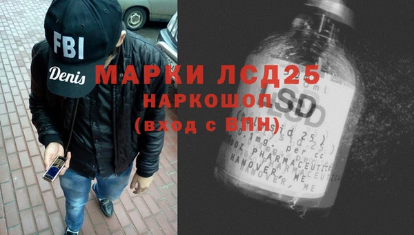 стаф Липки
