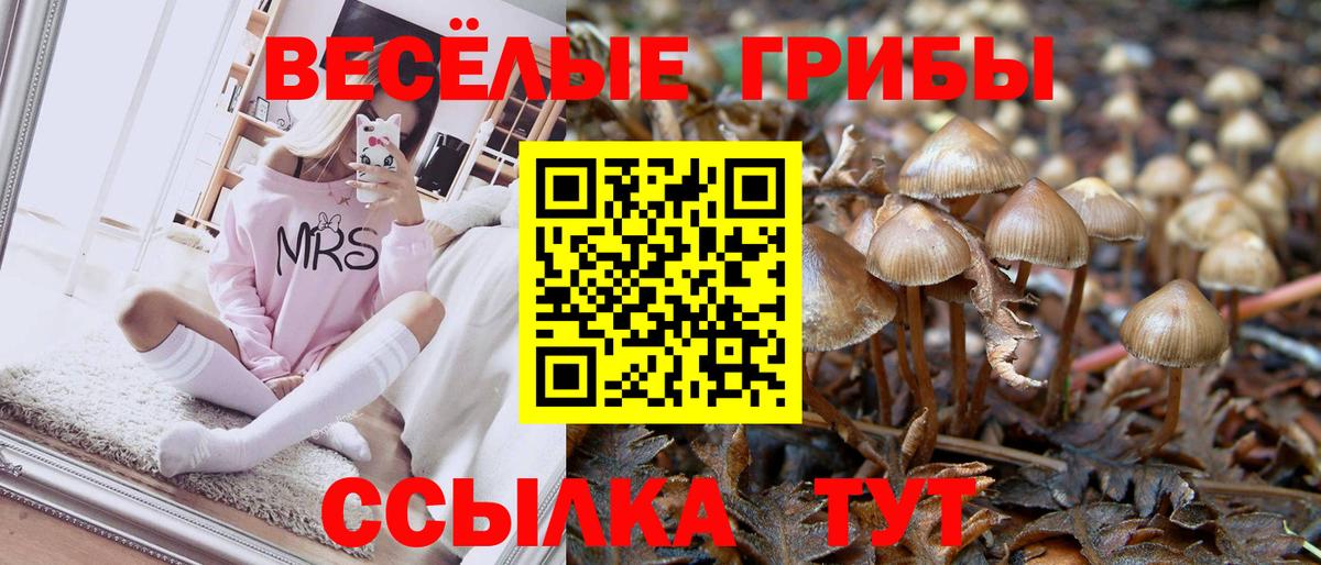 Гашиш Кунгур