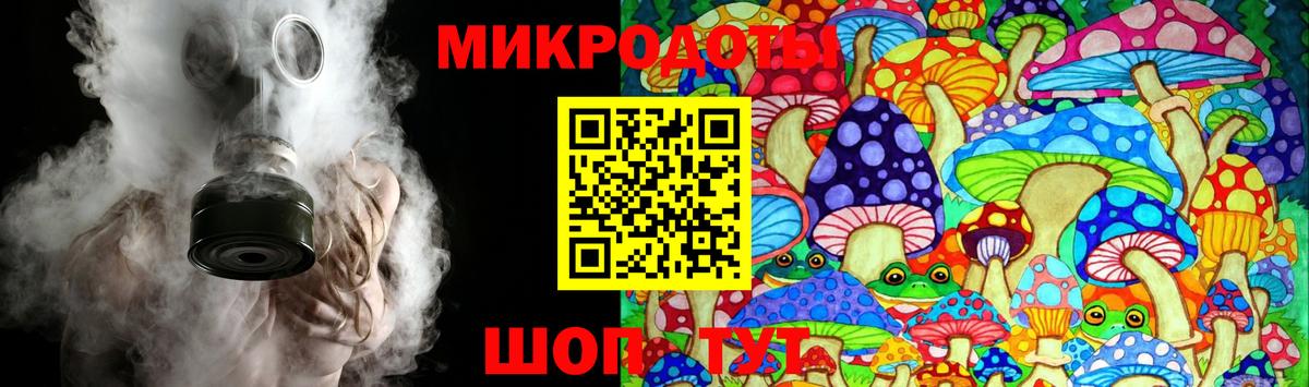 Кунгур  Псилоцибиновые грибы MAGIC MUSHROOMS  Вход с VPN 