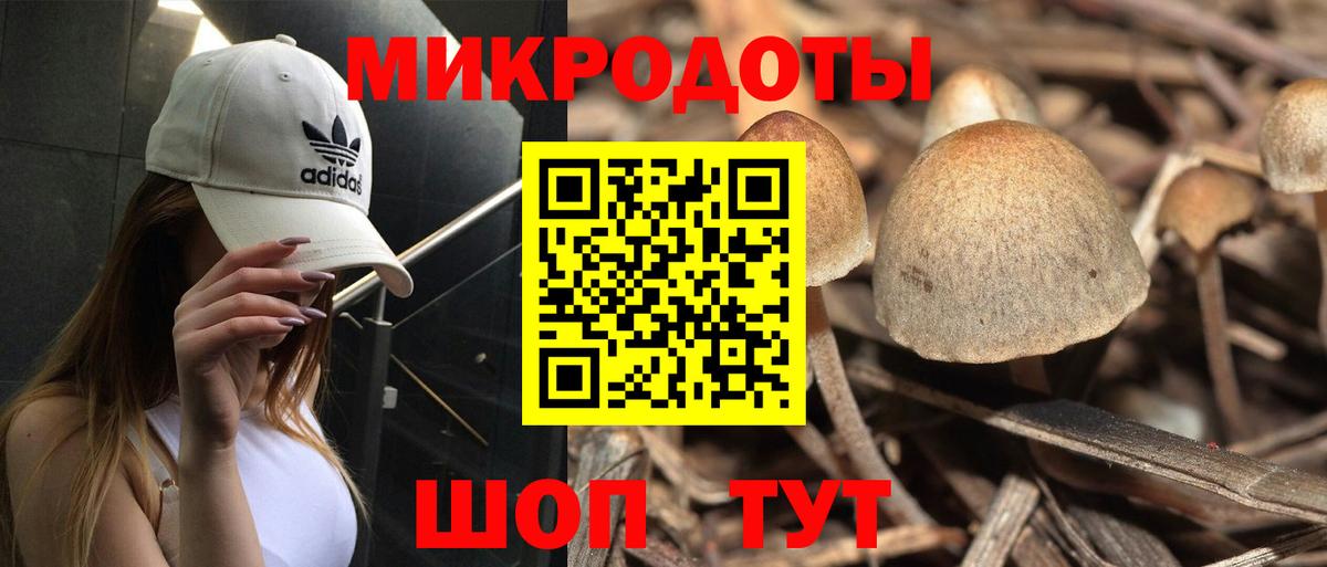 Галлюциногенные грибы мицелий Кунгур