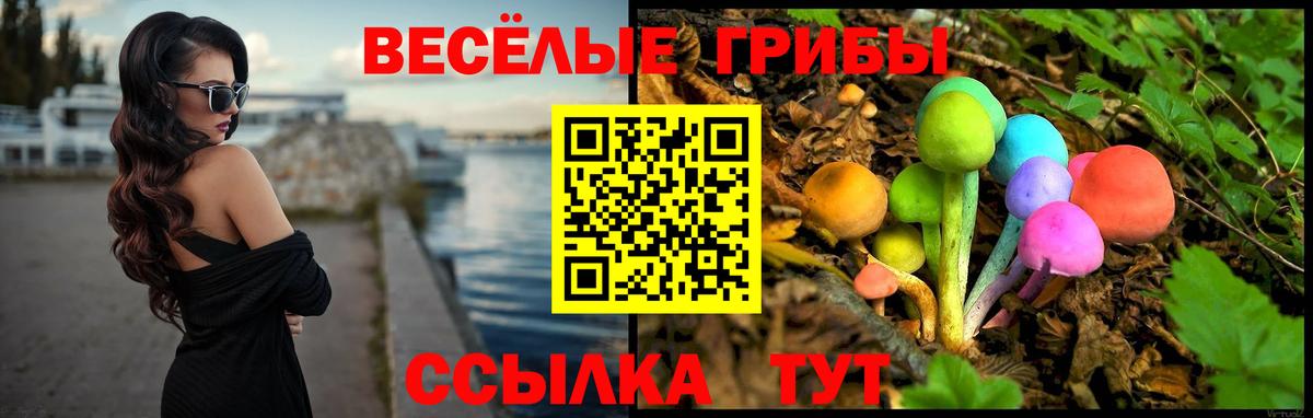 Псилоцибиновые грибы Psilocybe  Кунгур 