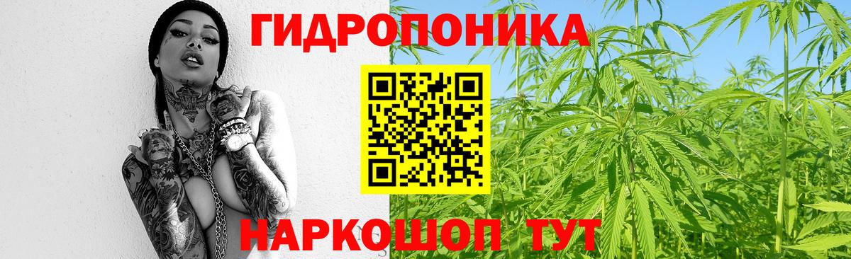 Кунгур  Бошки Шишки MAZAR  Каннабис MAZAR  Вход с VPN 